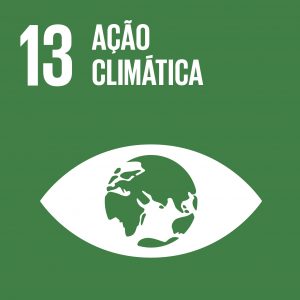 SDG-icon-PT-RGB-13-300x300