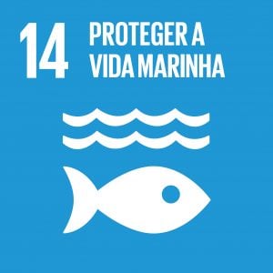 SDG-icon-PT-RGB-14-1-300x300