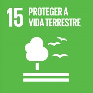 SDG-icon-PT-RGB-15-1-300x300