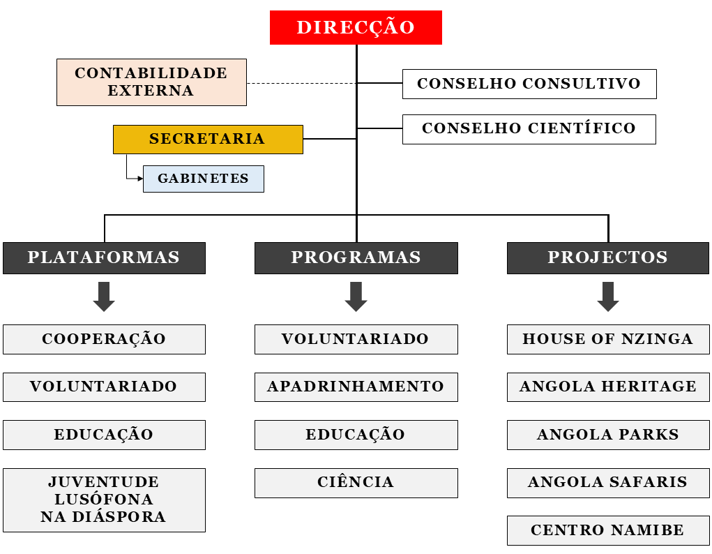 OCDA_organograma_02