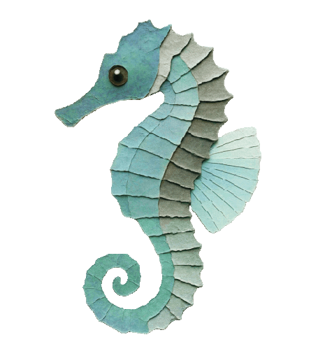 seahorse_01